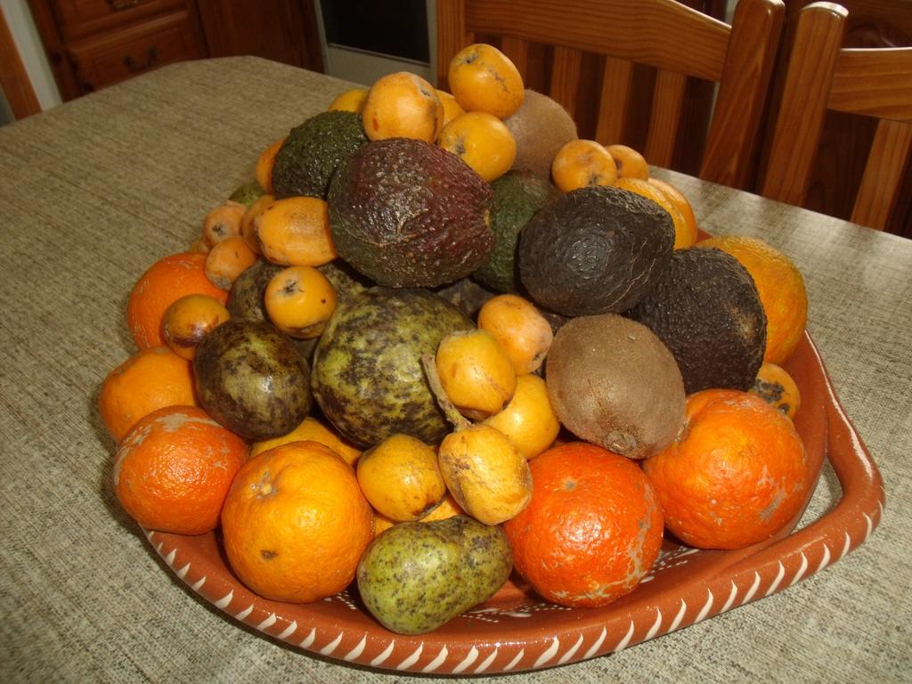 Tropical Fruit Garden Hotel Velas Bagian luar foto